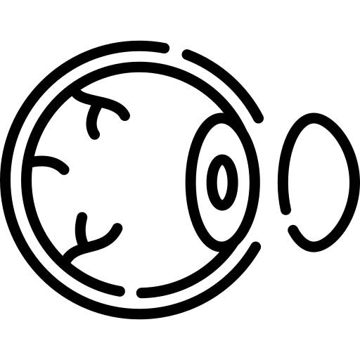 Cornea